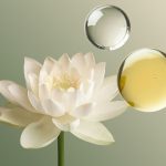 The Ritual of Jing Massage Oil - Image 3