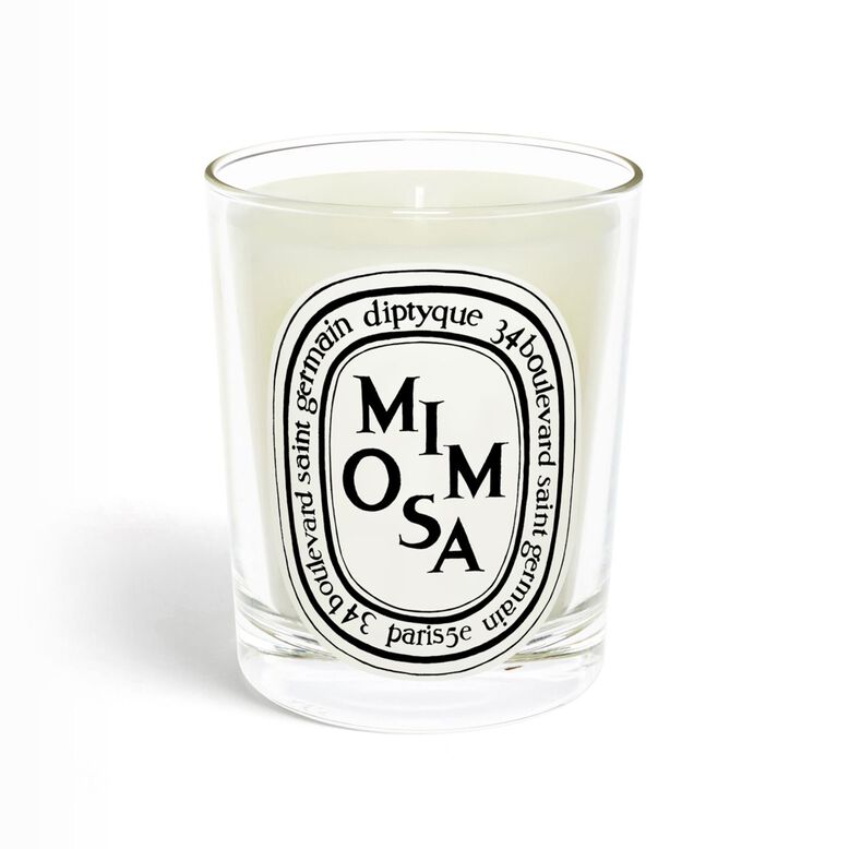 2405761detailImage01.jpg Candle Mimosa - Image 1