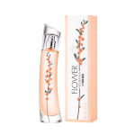 Flower Ikebana Mimosa