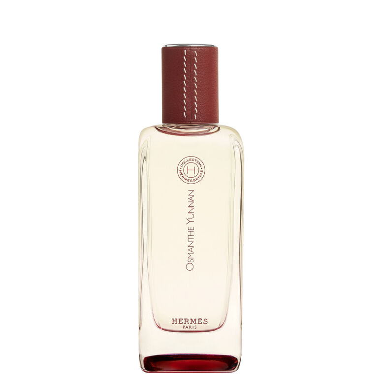 6512619detailImage01.jpg Osmanthe Yunnan - Image 1